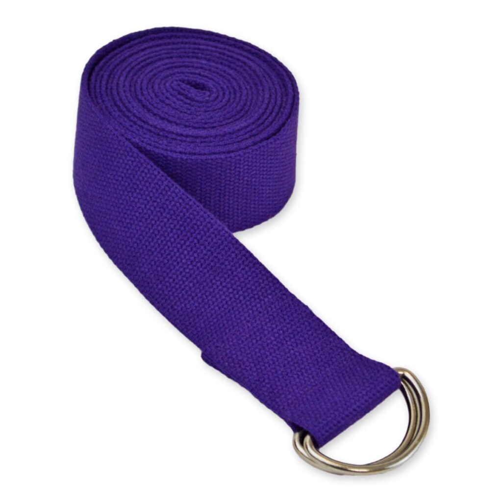 This image has an empty alt attribute; its file name is D-Ring-Purple-1024x1024.jpg